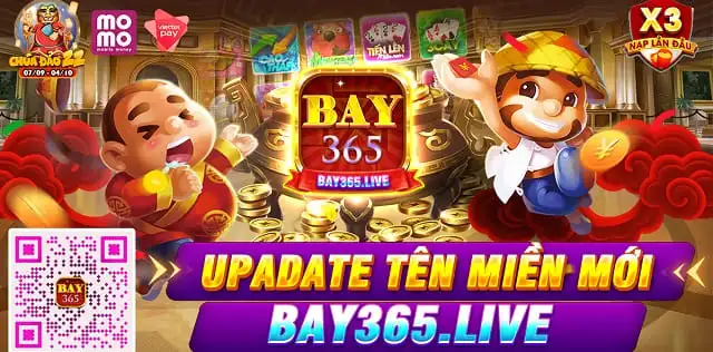 Bay365 Live