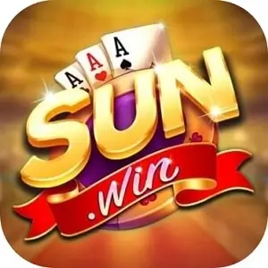 dollarsun online logo