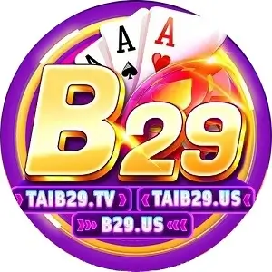 b29 us logo
