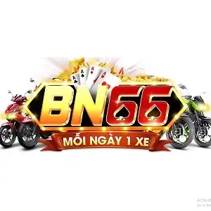 bn66 vin logo 01