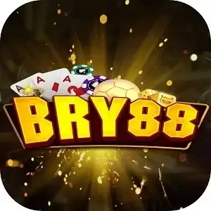 bry88 vin logo